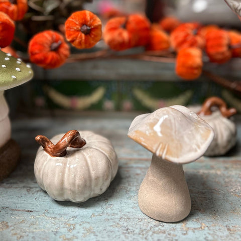 Decorative mushrooms and pumpkins on a textured surface with blurred background