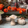 Decorative ceramic items including a mushroom and pumpkins on a rustic surface with blurred background.