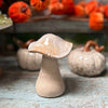 Ceramic mushroom on a rustic surface with pumpkins in the background