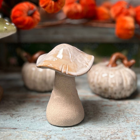 Ceramic mushroom on a rustic surface with pumpkins in the background