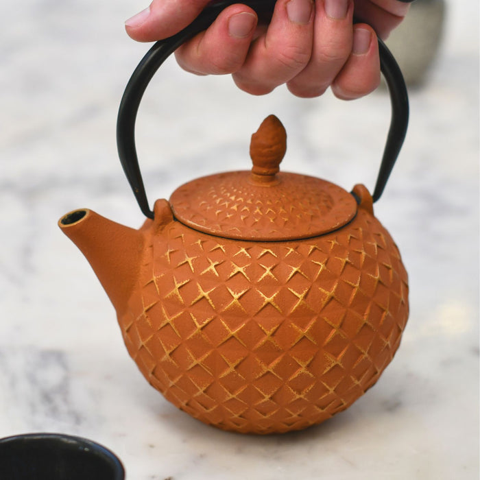 Cast Iron orange teapot 
