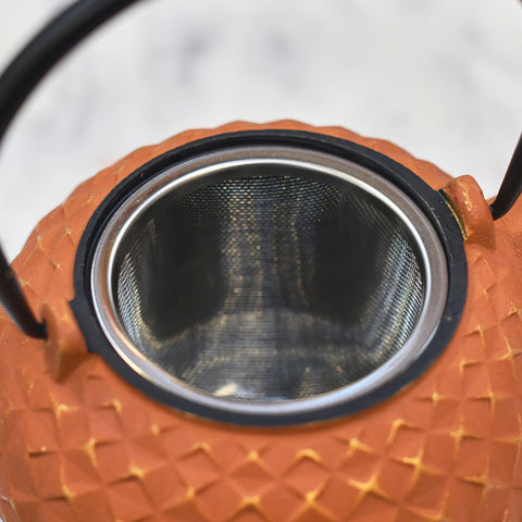 Tea Strainer and infuser 