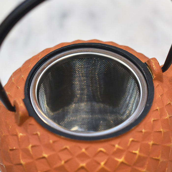 Tea Strainer and infuser 