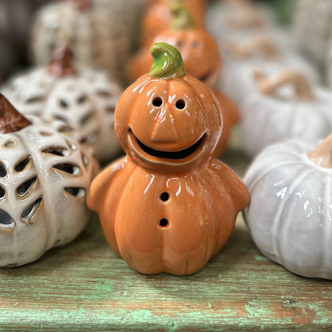 Ceramic pumpkin-shaped salt and pepper shakers on a wooden surface with other decorative pumpkins in the background.