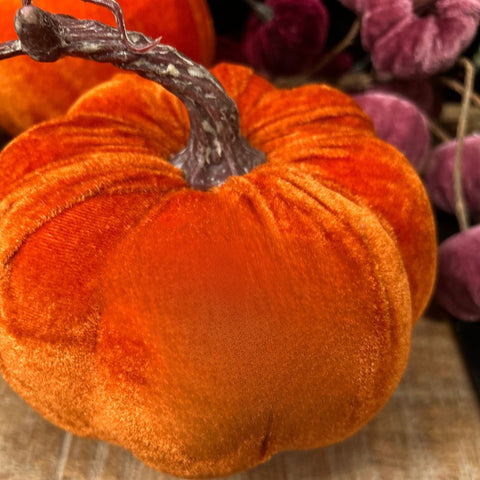 Orange velvet pumpkin with a branch on a wooden surface