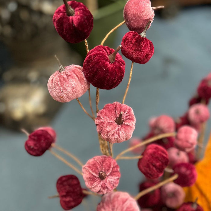 Close-up of red and pink decorative pimpkins on a blurred background