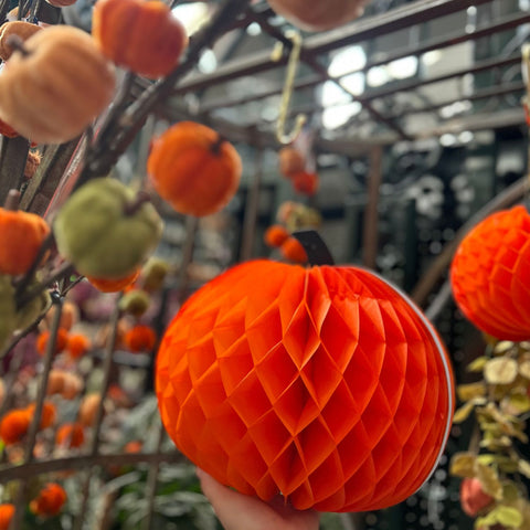 Hand holding a textured orange pumpkin with a blurred background of more pumpkins and branches.