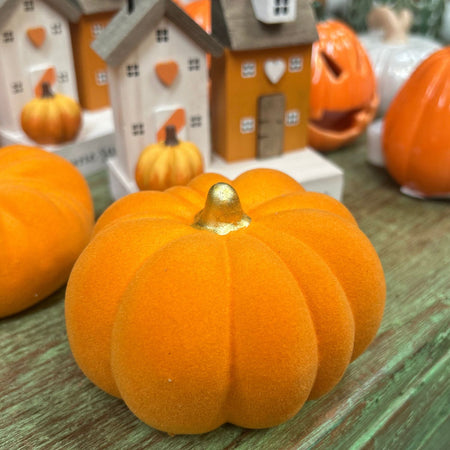 Decorative pumpkins with a small house on a wooden surface