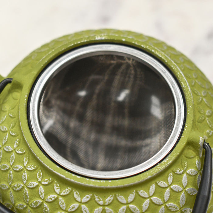 Tea Infuser in Teapot 
