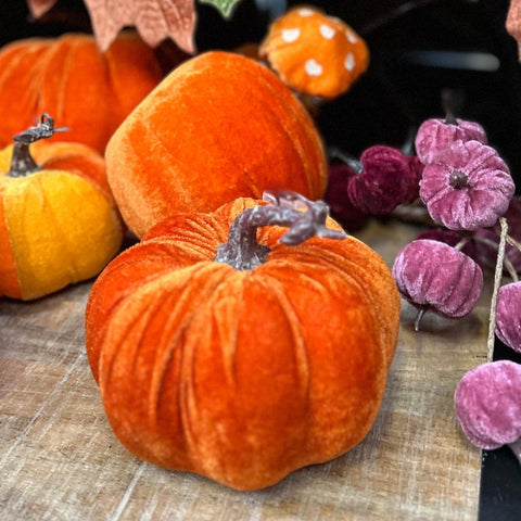 Orange velvet pumpkins on a textured surface with pink decorative berries.