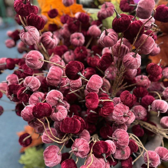 Close-up of pink and burgundy velvet pumpkins  